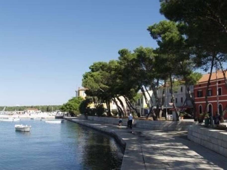 Apartman Snjezana فاجانا المظهر الخارجي الصورة